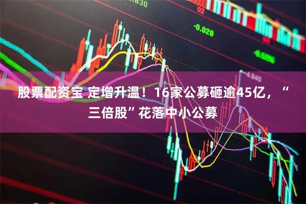 股票配资宝 定增升温！16家公募砸逾45亿，“三倍股”花落中小公募