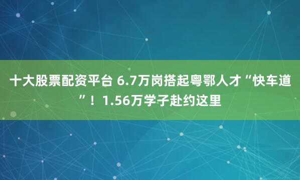 十大股票配资平台 6.7万岗搭起粤鄂人才“快车道”！1.56万学子赴约这里
