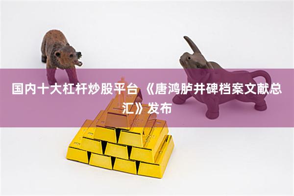 国内十大杠杆炒股平台 《唐鸿胪井碑档案文献总汇》发布