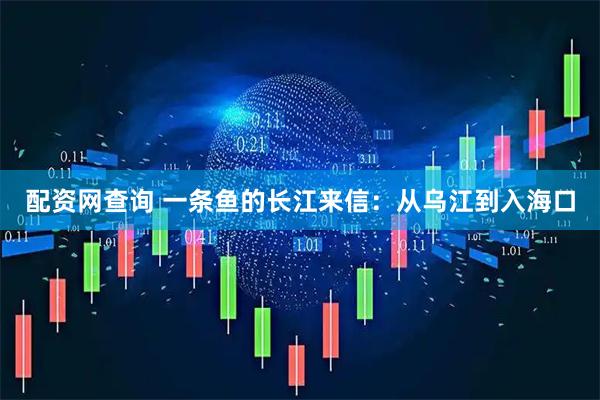 配资网查询 一条鱼的长江来信：从乌江到入海口