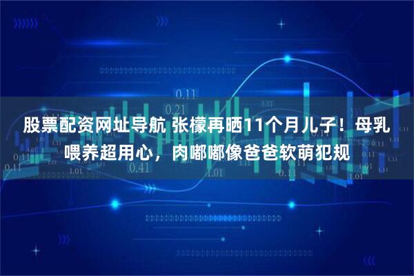 股票配资网址导航 张檬再晒11个月儿子！母乳喂养超用心，肉嘟嘟像爸爸软萌犯规