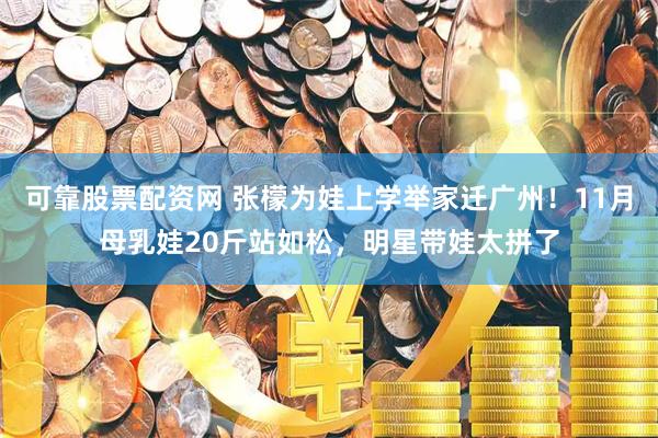 可靠股票配资网 张檬为娃上学举家迁广州！11月母乳娃20斤站如松，明星带娃太拼了
