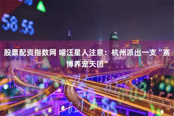 股票配资指数网 喵汪星人注意：杭州派出一支“赛博养宠天团”